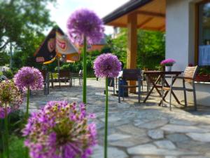 un patio con flores púrpuras, mesas y sillas en Penzion u Hanky, en Telgárt