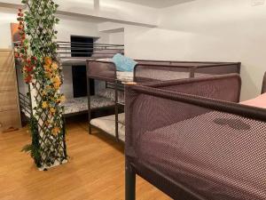 Cette chambre comprend un ensemble de lits superposés avec une plante. dans l'établissement Estudio en el corazón de Tacoronte, à Tacoronte