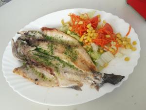 a plate of food with fish and a salad at Apartamento Playa Blanca in Melilla