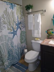 a bathroom with a toilet and a shower curtain at Million Dollar Lake View in Orlando