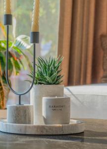 Fotografie z fotogalerie ubytování Hotel Osetia Garden v destinaci Momčilgrad