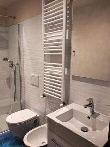 ein Bad mit einem Waschbecken, einem WC und einer Dusche in der Unterkunft Agli Olivi di Marciano in Siena