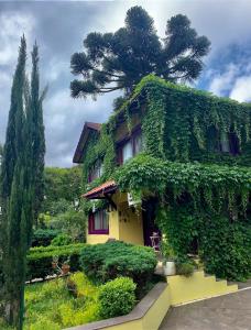 una casa amarilla cubierta de hiedra con un árbol en la parte superior en Petit Hotel Provence Gramado, en Gramado