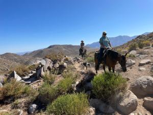 dos personas montando caballos en un camino rocoso en Cabalgatas y Alojamiento LocuraChile, en Hurtado