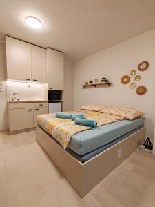 una camera con letto e cucina di A Star Apartment Brno with Terrace a Brno