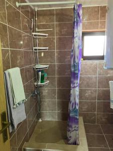 茲拉蒂博爾的住宿－Apartmani Rada，浴室内设有带紫色淋浴帘的淋浴