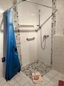 a shower with a blue shower curtain in a bathroom at Kastanienhof Holländer in Schlotfeld