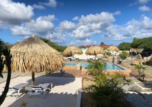 un complexe doté d'une piscine ainsi que de parasols et de chaises en paille dans l'établissement Pura Vida Aruba appartement Cama, à Noord