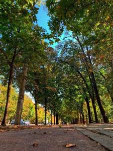 un parque con árboles y una carretera con hojas en el suelo en Cazare Ploiesti en Ploieşti