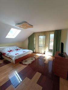 a bedroom with a bed and a television in it at Casa Alboi in Ciocăneşti