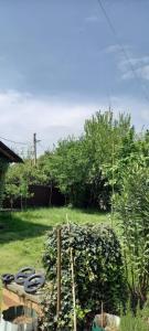 Guest House na Komarov 1 في غاغرا: اطلالة على حديقة مع مجموعة كراسي