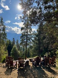 a group of chairs and a picnic table in the woods at Hostel El Mirador in El Bolsón