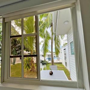 een raam van een huis met uitzicht op een tuin bij Zaba Beach House in San Andrés