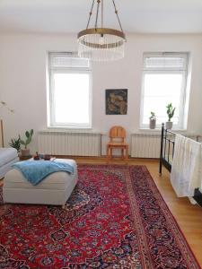 - un salon avec un canapé et un tapis dans l'établissement Apartman Nostalgia u Sarajevu, à Sarajevo