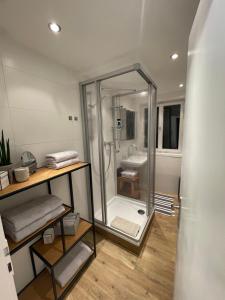 a bathroom with a shower and a sink at Ferienwohnungen Mews in Immenstadt im Allgäu +77 photos