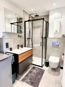 a bathroom with a shower and a sink and a toilet at Red Rock Apartments - mit Parkplatz, Küche und Netflix in Trier