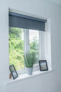 una finestra con una pianta su un davanzale bianco di Spacious 5-bedroom home perfect for large groups a Polesworth