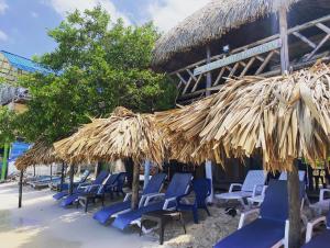 un grupo de sillas y sombrillas de paja en una playa en Posada Shekinah Barú, en Playa Blanca