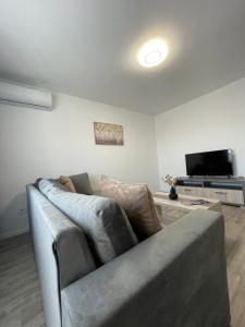 a living room with a couch and a tv at Comfort & Luxury Apartaments PNMresidence in Timişoara