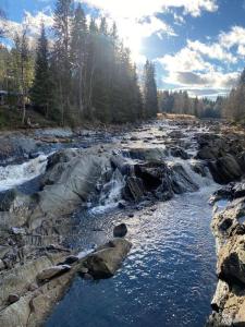 a river with rocks and trees in the background at Charming apartment in Meråker in Meråker