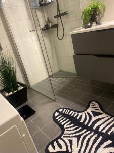 Charming apartment in Meråker في Meråker: حمام مع سجادة مطبوعة على الأرض