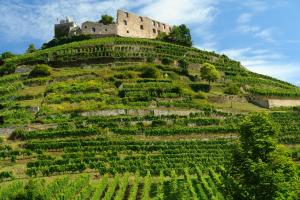 Afbeelding uit fotogalerij van Hotel der Löwen in Staufen in Staufen im Breisgau