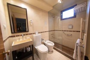 a bathroom with a toilet and a sink and a shower at Del Bosque Apart Hotel in Ushuaia