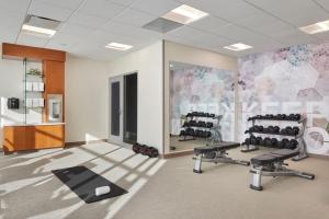 una sala de fitness con 2 cintas de correr y pesas en SpringHill Suites by Marriott Frederica en Frederica