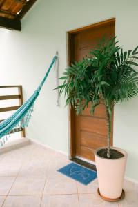 a plant in a pot in front of a door at Hotel Kiribati Maresias in Maresias