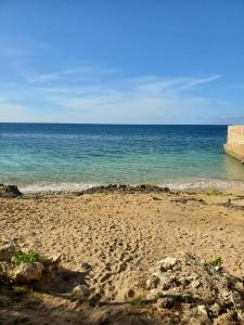 een zandstrand met de oceaan op de achtergrond bij Evelin's On The Beach in Montego Bay
