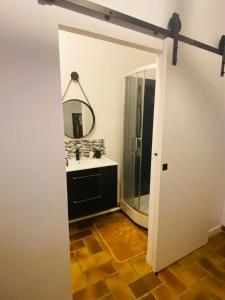 a bathroom with a sink and a mirror at La fermette: Logis indépendant proche d'Arras sur cours au carré in Achicourt