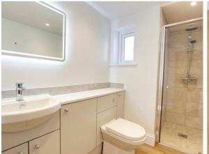 a bathroom with a toilet and a sink and a shower at The Old Gatehouse Luxury Cottage in Legbourne
