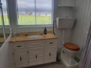 a bathroom with a toilet and a sink and a window at Redwood in Hikutaia