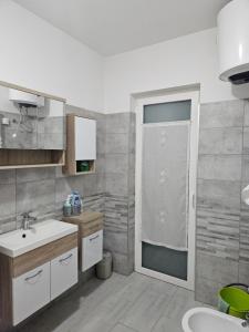 uma casa de banho com um lavatório e um chuveiro em AL PALU' em Ziracco