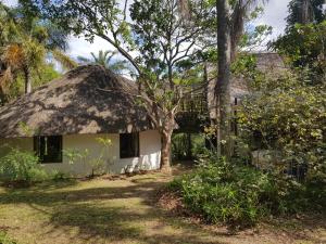 Κήπος έξω από το Eden by the sea