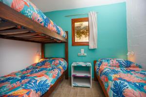 Lago Argentino Hostel في إل كالافاتي: غرفة نوم بسريرين بطابقين ونافذة
