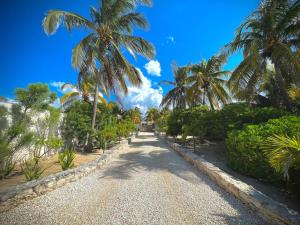 un camino de grava con palmeras en una playa en Beach Bliss Bungalow - Amazing pool, en Chelem