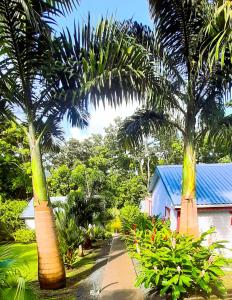 two palm trees in front of a house at Caraïbes Cottage Grenat piscine privée 900m de Grande anse in Deshaies