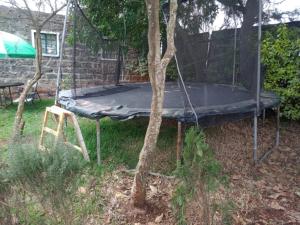 un trampolino in un cortile accanto a un albero di Quiet Place a Kikuyu