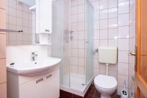 La salle de bains est pourvue de toilettes, d'un lavabo et d'une douche. dans l'établissement Apartments with a parking space Jezera, Murter - 21148, à Jezera