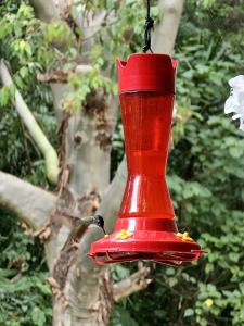 a red bird feeder hanging from a tree at Eco Suites Uxlabil Guatemala in Guatemala