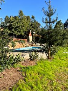 una piscina en un patio con un árbol en Cabaña Modesto, en Olmué