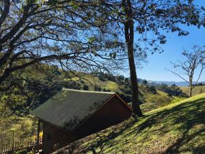 a small building on a hill with a tree at Chalés Fenix in Santo Antônio do Pinhal