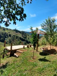 a wooden bench sitting in the grass with a tree at Chalés Fenix in Santo Antônio do Pinhal