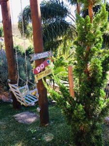 a swing and a hammock and a palm tree at Chalés Fenix in Santo Antônio do Pinhal