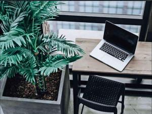 a laptop sitting on a table next to a plant at Skyline Serenade in Johannesburg