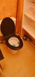 a bathroom with a toilet with a black seat at Studio en face de la Cathédrale Saint Pierre Nantes in Nantes