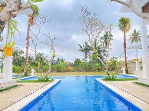 Piscina di Namika Villas Ubud o nelle vicinanze