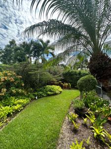a garden with a lush green lawn and palm trees at Florida house, 4br 2bt with private pool oasis in Naples