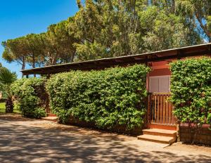 Ein Garten an der Unterkunft Gitavillage Club degli Amici